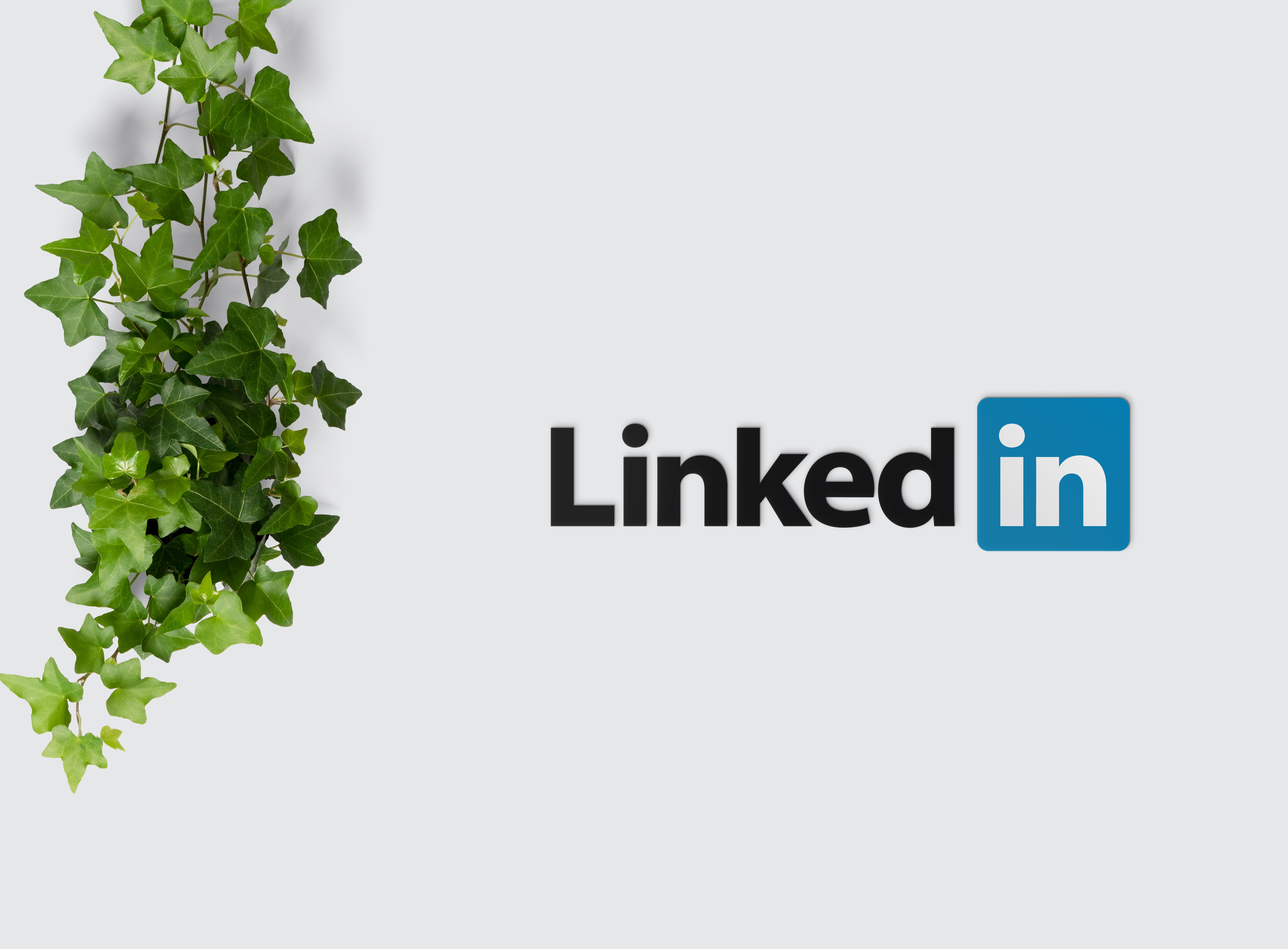 7 Ways To Use LinkedIn For Business Promotion
